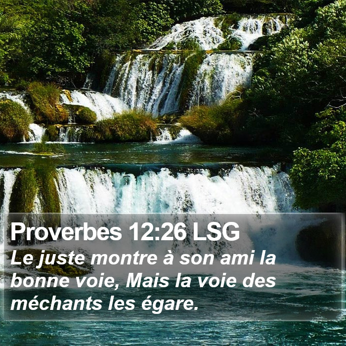 Proverbes 12:26 LSG Bible Study