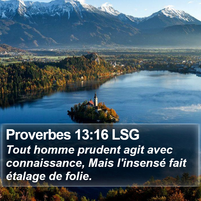 Proverbes 13:16 LSG Bible Study