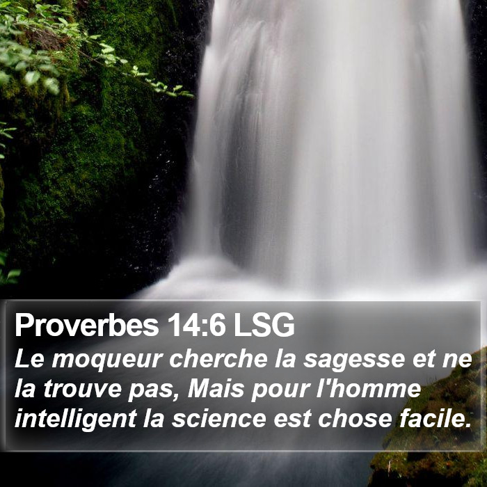 Proverbes 14:6 LSG Bible Study