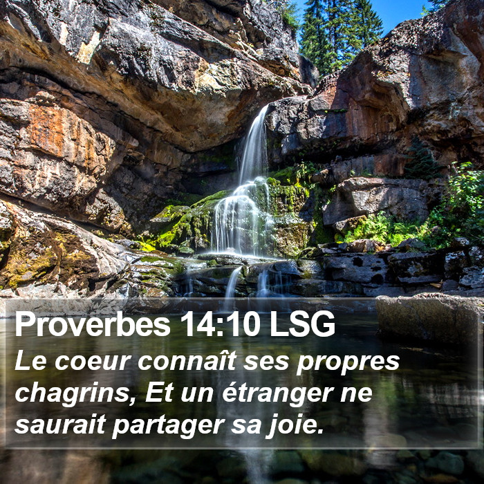Proverbes 14:10 LSG Bible Study