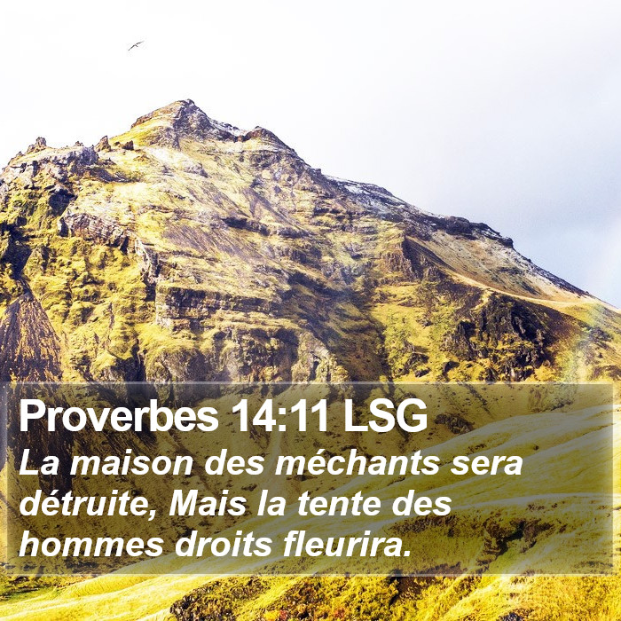Proverbes 14:11 LSG Bible Study