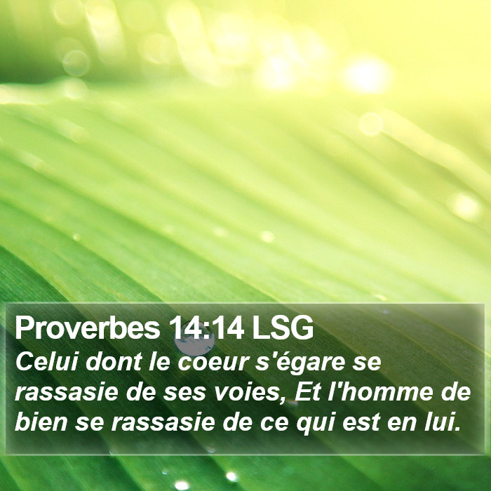 Proverbes 14:14 LSG Bible Study