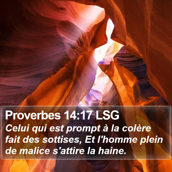 Proverbes 14:17 LSG Bible Study