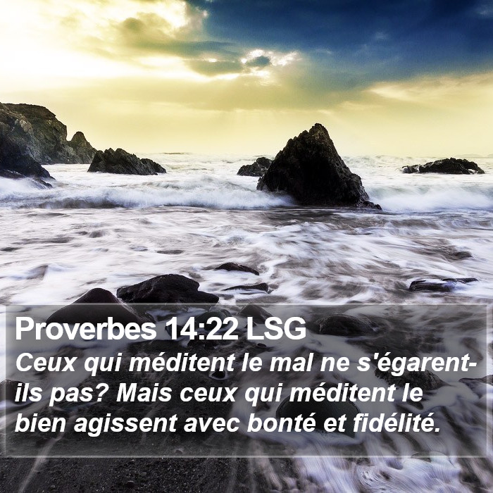 Proverbes 14:22 LSG Bible Study