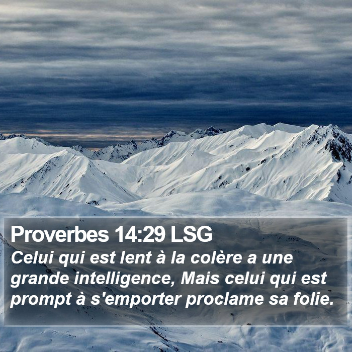 Proverbes 14:29 LSG Bible Study