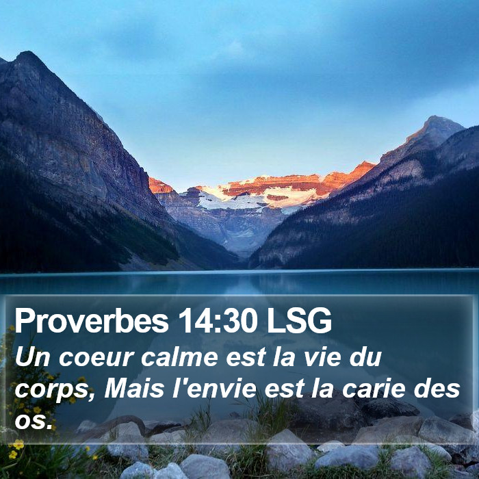 Proverbes 14:30 LSG Bible Study