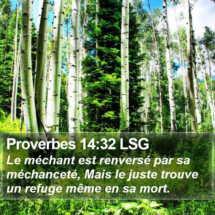 Proverbes 14:32 LSG Bible Study