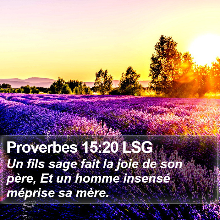 Proverbes 15:20 LSG Bible Study