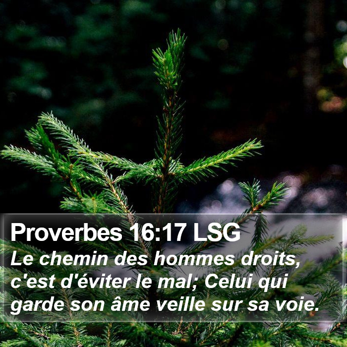 Proverbes 16:17 LSG Bible Study