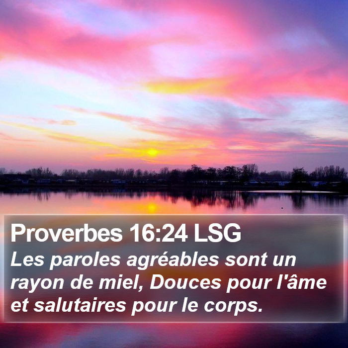 Proverbes 16:24 LSG Bible Study