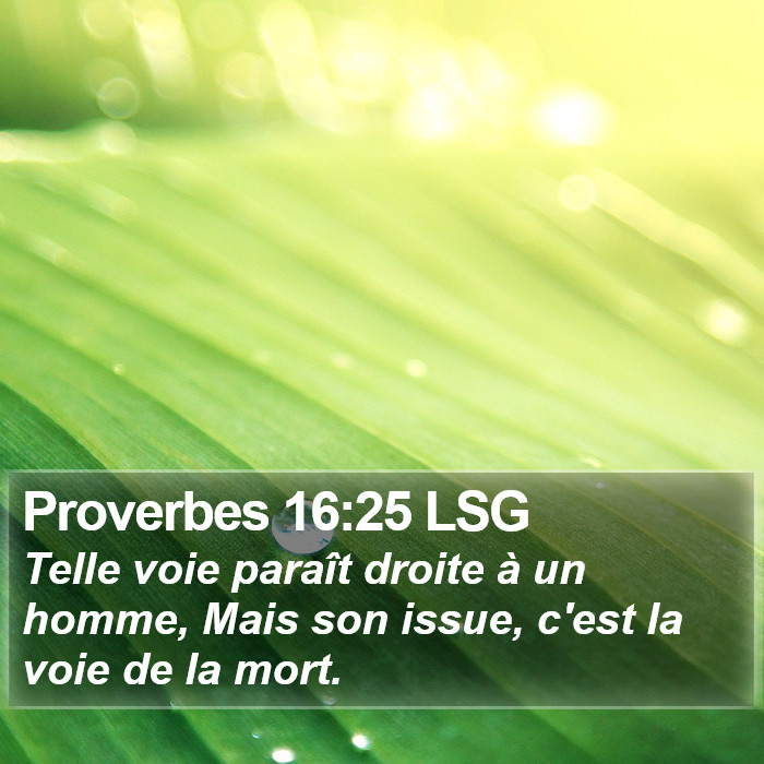 Proverbes 16:25 LSG Bible Study