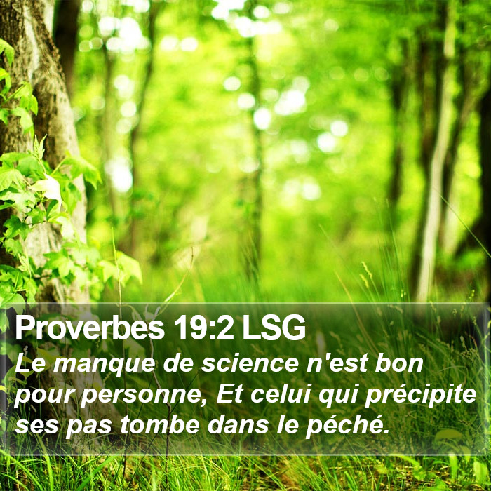 Proverbes 19:2 LSG Bible Study