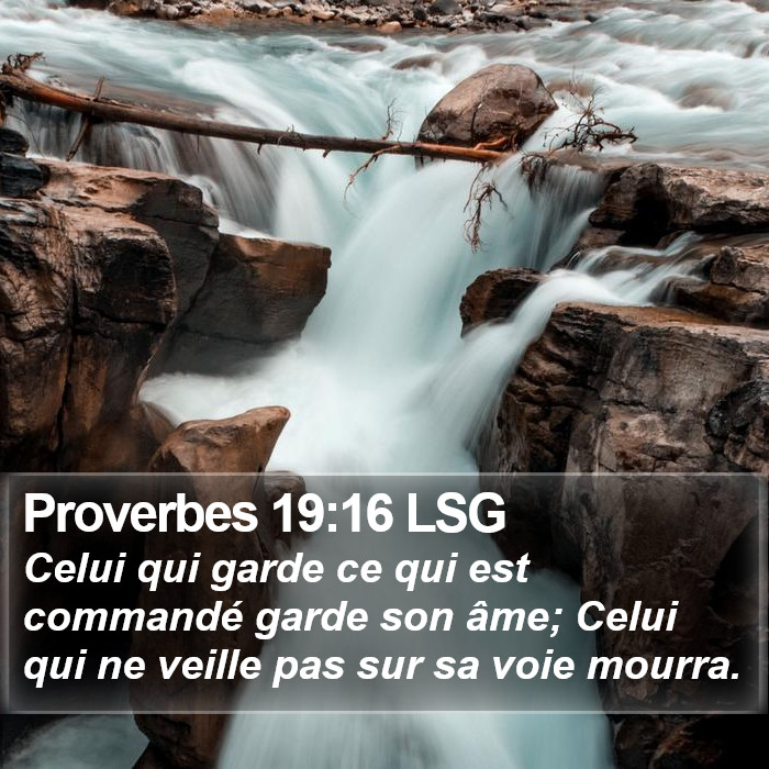 Proverbes 19:16 LSG Bible Study