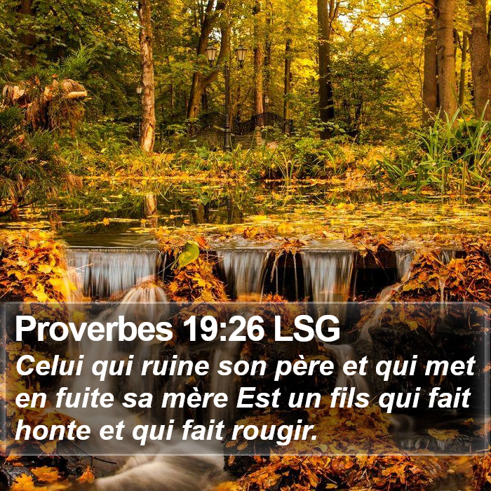 Proverbes 19:26 LSG Bible Study