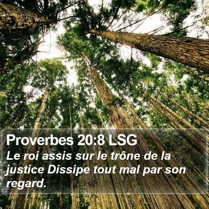 Proverbes 20:8 LSG Bible Study