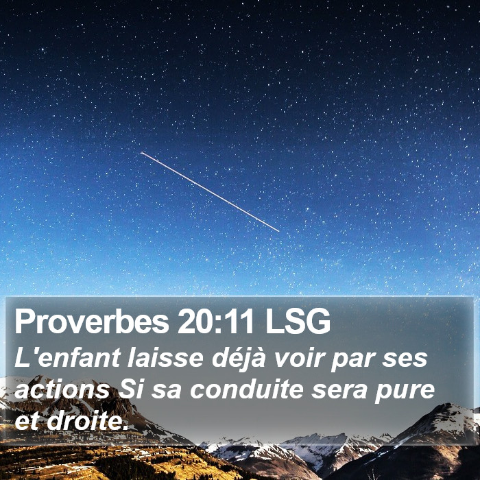 Proverbes 20:11 LSG Bible Study