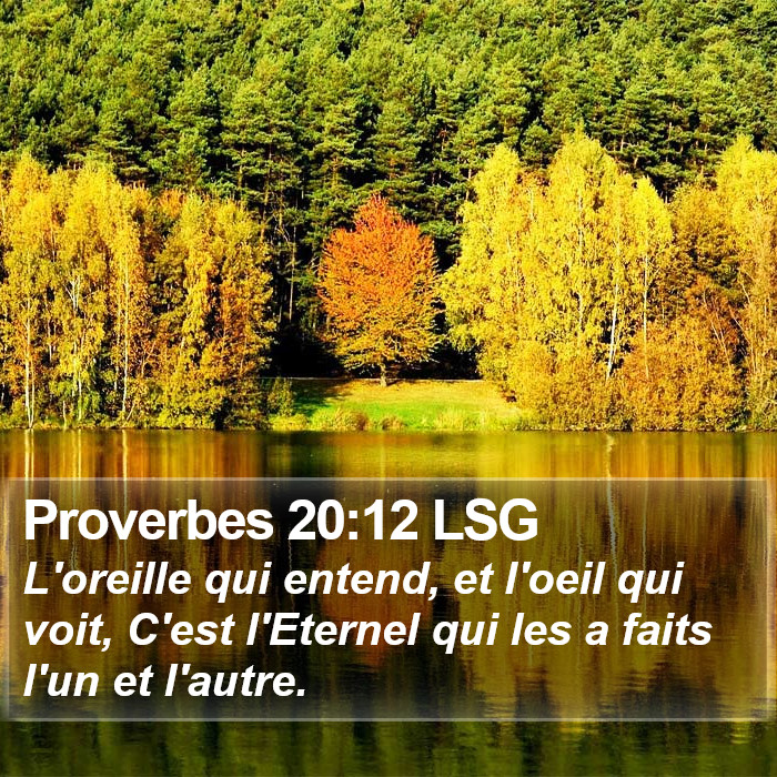 Proverbes 20:12 LSG Bible Study