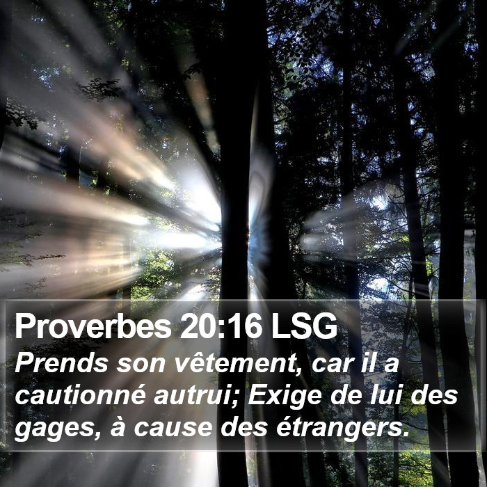 Proverbes 20:16 LSG Bible Study