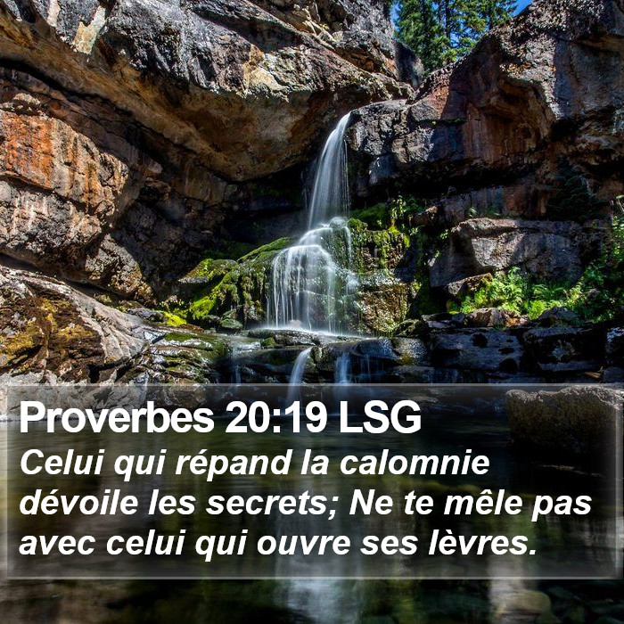 Proverbes 20:19 LSG Bible Study