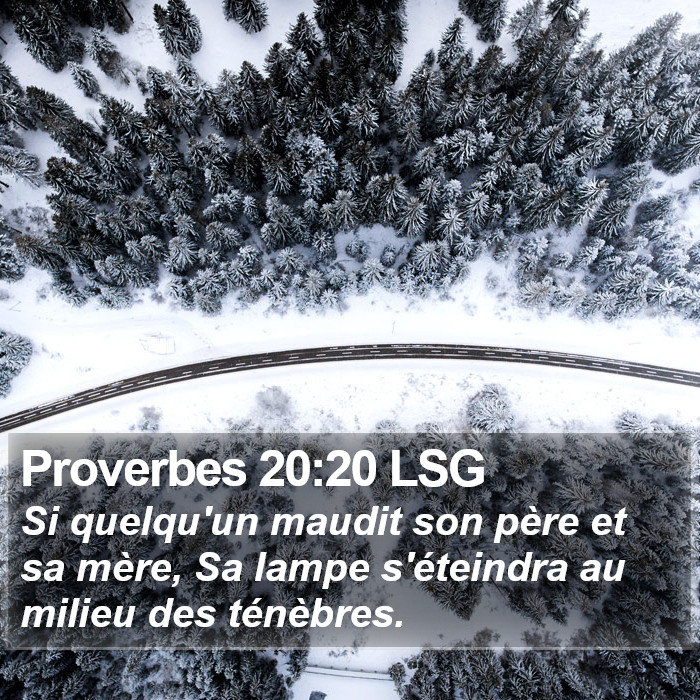 Proverbes 20:20 LSG Bible Study