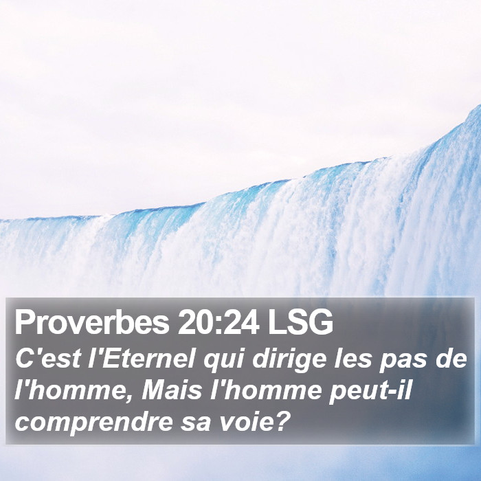 Proverbes 20:24 LSG Bible Study