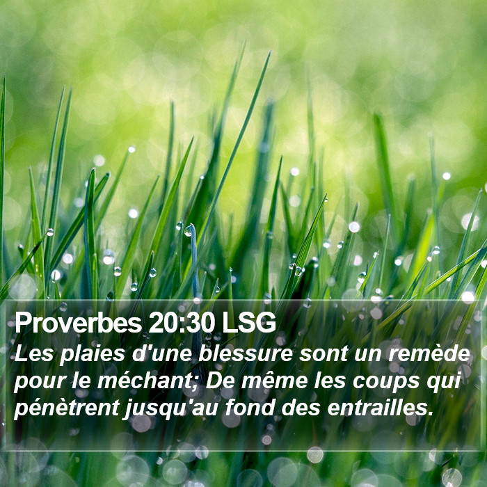 Proverbes 20:30 LSG Bible Study