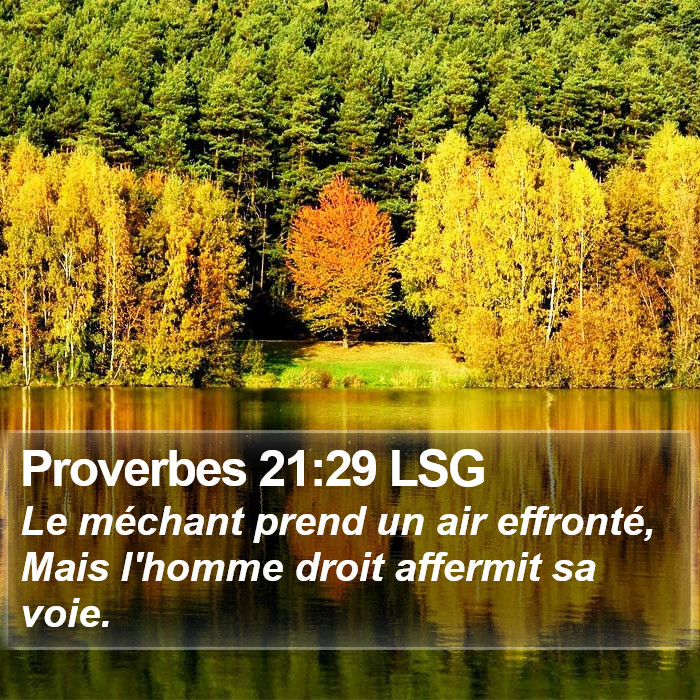 Proverbes 21:29 LSG Bible Study