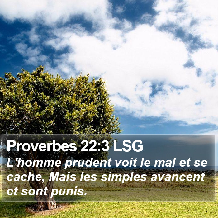 Proverbes 22:3 LSG Bible Study