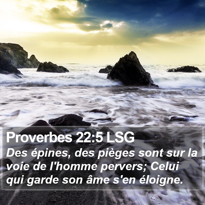 Proverbes 22:5 LSG Bible Study