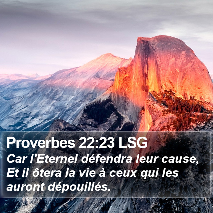 Proverbes 22:23 LSG Bible Study