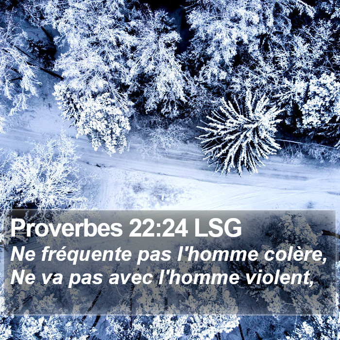 Proverbes 22:24 LSG Bible Study