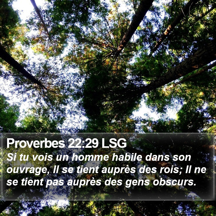 Proverbes 22:29 LSG Bible Study