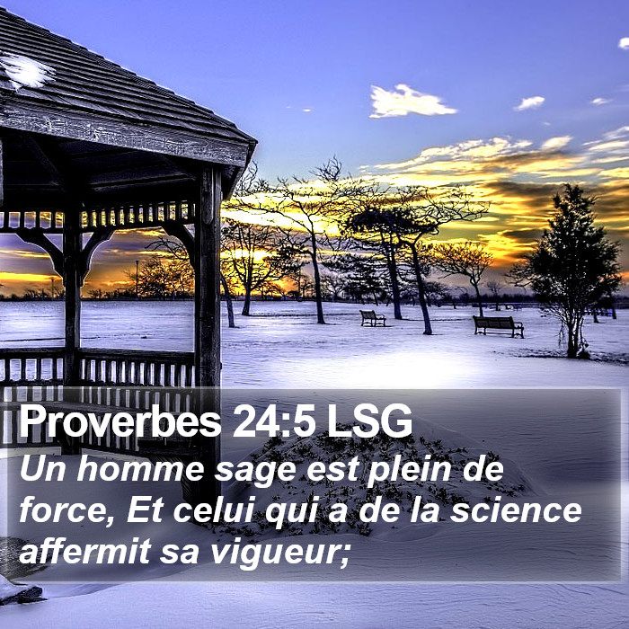 Proverbes 24:5 LSG Bible Study