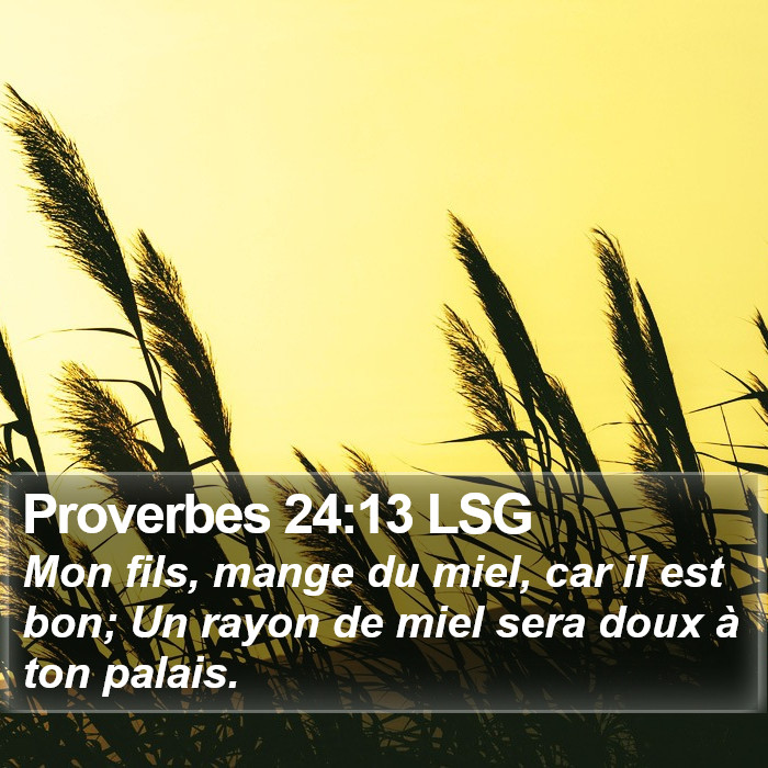 Proverbes 24:13 LSG Bible Study