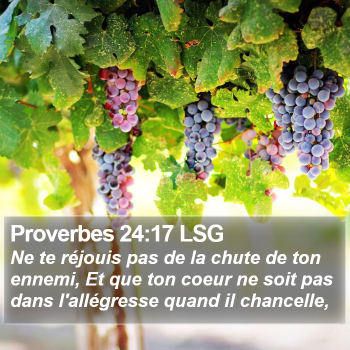 Proverbes 24:17 LSG Bible Study
