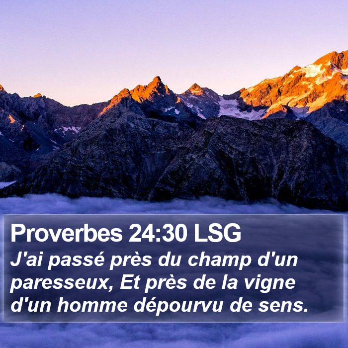 Proverbes 24:30 LSG Bible Study