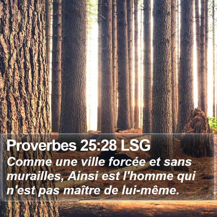 Proverbes 25:28 LSG Bible Study