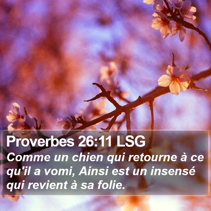 Proverbes 26:11 LSG Bible Study