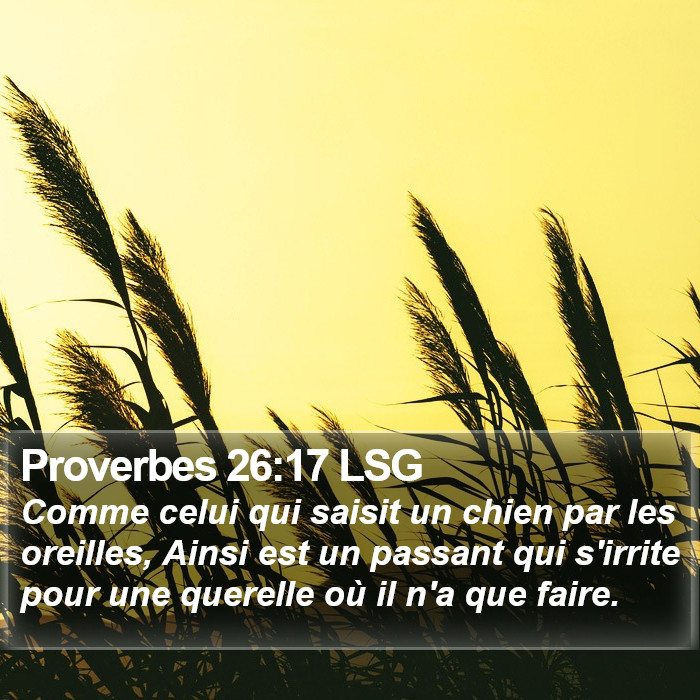 Proverbes 26:17 LSG Bible Study