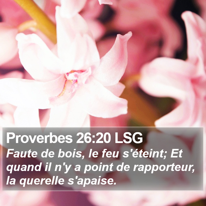 Proverbes 26:20 LSG Bible Study