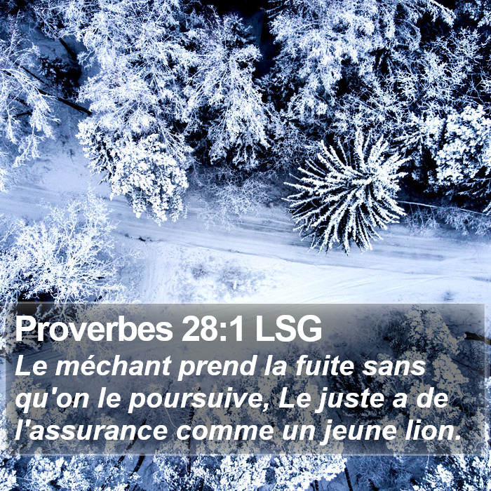 Proverbes 28:1 LSG Bible Study