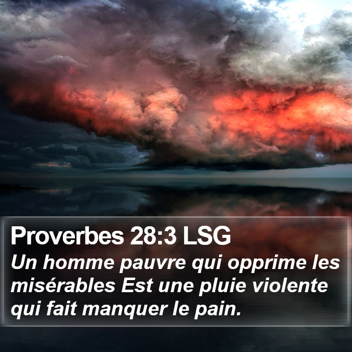 Proverbes 28:3 LSG Bible Study