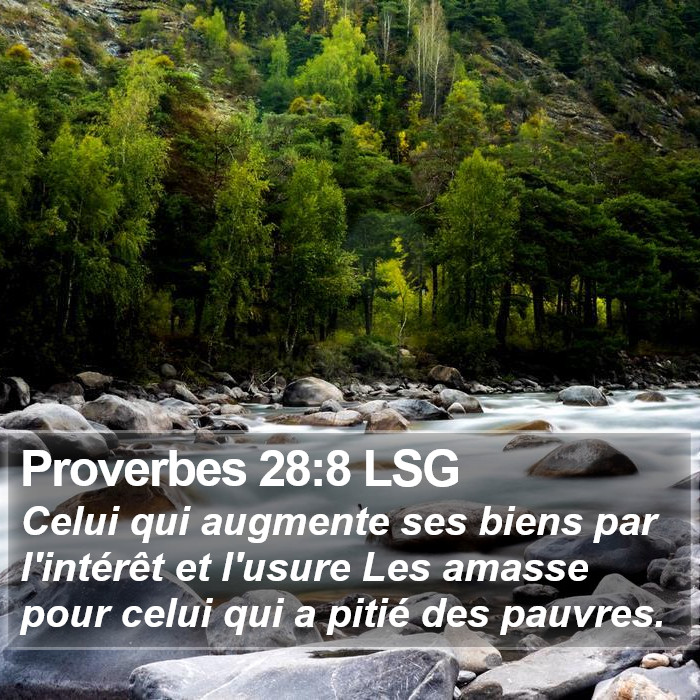 Proverbes 28:8 LSG Bible Study