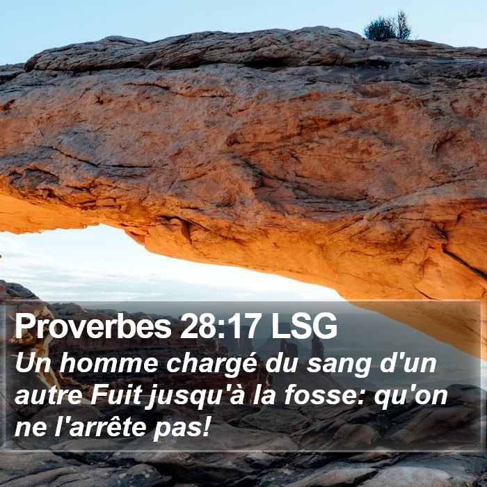 Proverbes 28:17 LSG Bible Study