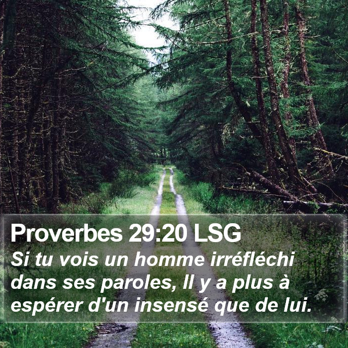 Proverbes 29:20 LSG Bible Study