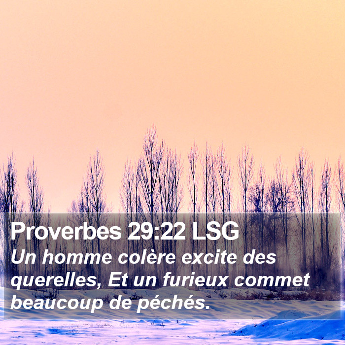 Proverbes 29:22 LSG Bible Study