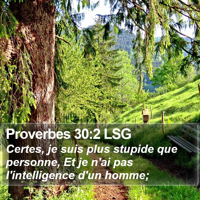Proverbes 30:2 LSG Bible Study