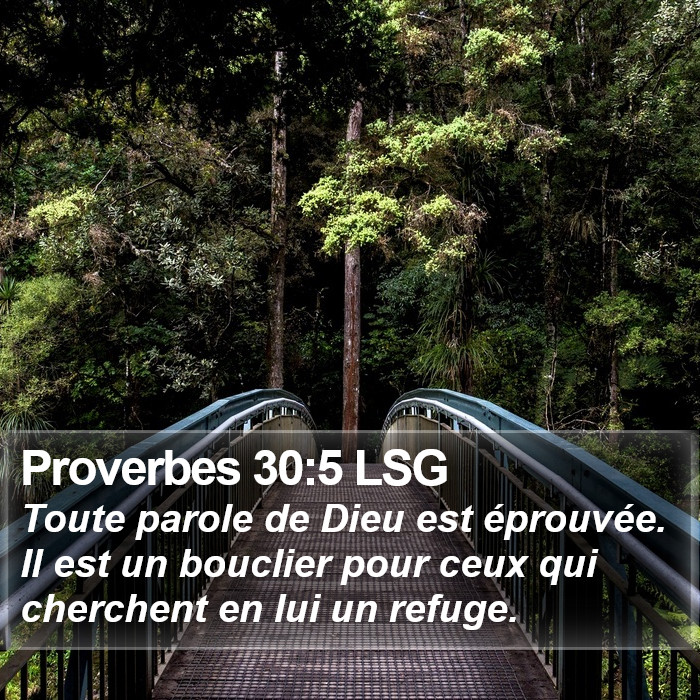 Proverbes 30:5 LSG Bible Study