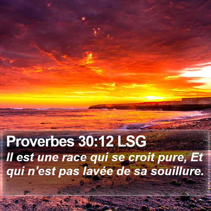 Proverbes 30:12 LSG Bible Study