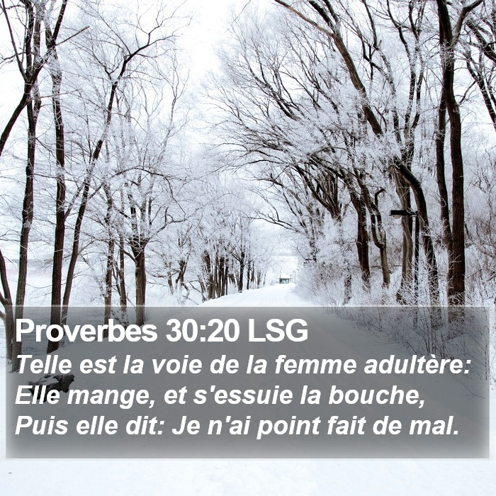 Proverbes 30:20 LSG Bible Study